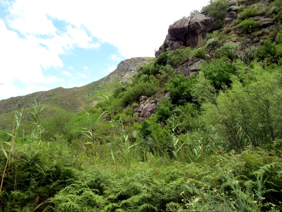 16 Bedroom Property for Sale in Robertson Rural Western Cape